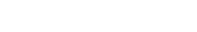 light logo